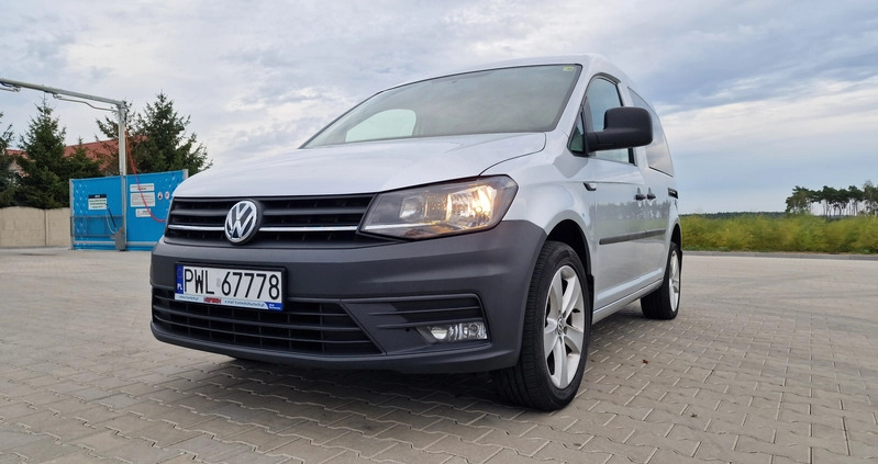 Volkswagen Caddy cena 45500 przebieg: 255000, rok produkcji 2016 z Siedlce małe 67